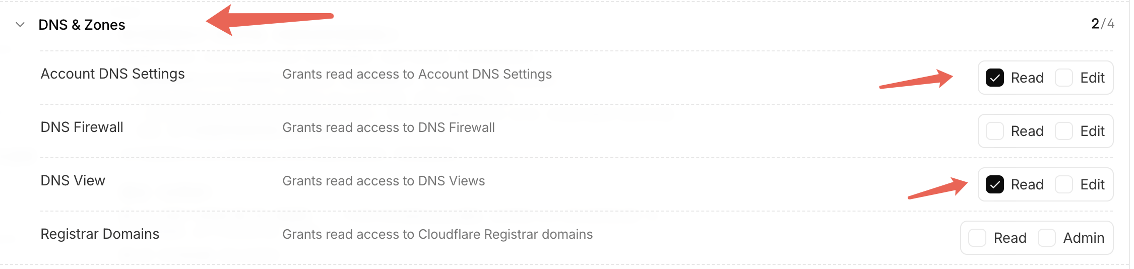 勾选 DNS 相关 Read 权限